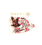 ぼく、ベイク（個別スタンプ：1）