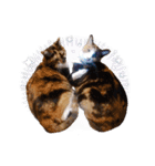 白い所少ない三毛猫のスタンプ（個別スタンプ：32）