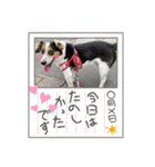 海くんとパトラ（個別スタンプ：19）