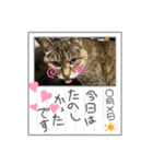 海くんとパトラ（個別スタンプ：20）