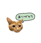 ライムとシンバ（個別スタンプ：8）