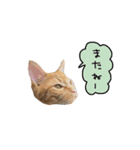 ライムとシンバ（個別スタンプ：10）