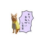 ライムとシンバ（個別スタンプ：18）
