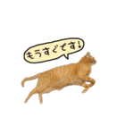 ライムとシンバ（個別スタンプ：25）
