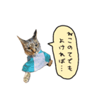 ライムとシンバ（個別スタンプ：28）