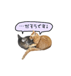 ライムとシンバ（個別スタンプ：29）