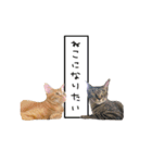 ライムとシンバ（個別スタンプ：30）