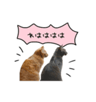 ライムとシンバ（個別スタンプ：32）