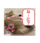上からまり子（個別スタンプ：2）