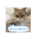 上からまり子（個別スタンプ：6）
