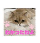 上からまり子（個別スタンプ：7）