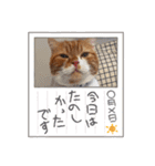 実家のみゅうくん♂️2（個別スタンプ：5）