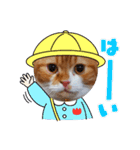 実家のみゅうくん♂️2（個別スタンプ：16）