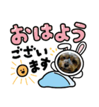 ヨークシャーテリアのボンちゃんサンちゃん（個別スタンプ：7）