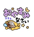 ヨークシャーテリアのボンちゃんサンちゃん（個別スタンプ：8）