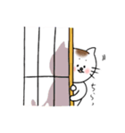 【毎日使える】ねこシリーズ1（個別スタンプ：1）