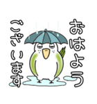 我が家のトリです。インコです。3（個別スタンプ：3）