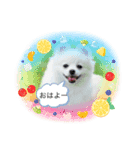 秋ですね♪♪（個別スタンプ：4）