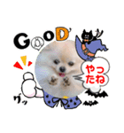 秋ですね♪♪（個別スタンプ：5）