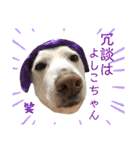 【犬猫mix】季節もの多め・ダジャレ死語等（個別スタンプ：26）