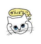 meねこ兄妹（個別スタンプ：1）