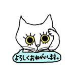 meねこ兄妹（個別スタンプ：11）