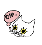 meねこ兄妹（個別スタンプ：20）