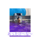 てぃがーです（個別スタンプ：14）