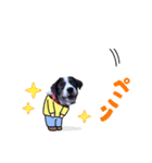 こまつボンのスタンプ（個別スタンプ：6）