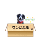こまつボンのスタンプ（個別スタンプ：7）