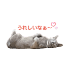 サラロワ（個別スタンプ：2）