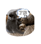 サラロワ（個別スタンプ：15）