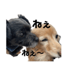 ちゃたろうたろう2個目（個別スタンプ：2）