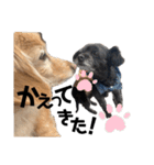 ちゃたろうたろう2個目（個別スタンプ：9）