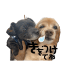 ちゃたろうたろう2個目（個別スタンプ：10）