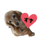 ちゃたろうたろう2個目（個別スタンプ：12）