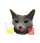 まりも・めかぶ・こんぶすたんぷ！6（個別スタンプ：5）