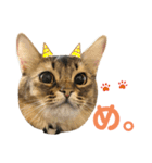 まりも・めかぶ・こんぶすたんぷ！6（個別スタンプ：11）