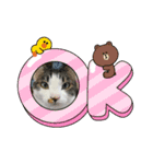 猫のエイトくんのスタンプ3（個別スタンプ：16）