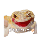レオパ部（個別スタンプ：7）