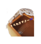レオパ部（個別スタンプ：27）