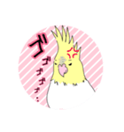 オカメインコだらけ（個別スタンプ：4）