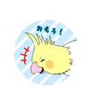 オカメインコだらけ（個別スタンプ：9）