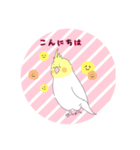 オカメインコだらけ（個別スタンプ：18）