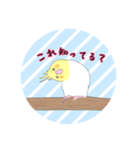 オカメインコだらけ（個別スタンプ：25）