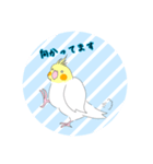 オカメインコだらけ（個別スタンプ：27）