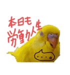 すけかく6（個別スタンプ：2）