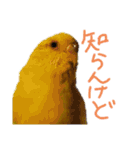 すけかく6（個別スタンプ：4）