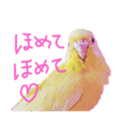 すけかく6（個別スタンプ：9）