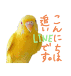 すけかく6（個別スタンプ：10）